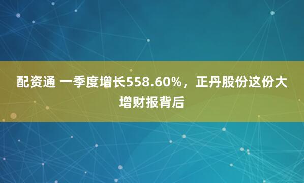 配资通 一季度增长558.60%，正丹股份这份大增财报背后