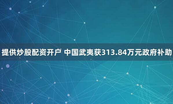 提供炒股配资开户 中国武夷获313.84万元政府补助